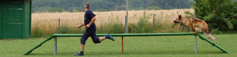 header (4)